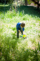Easter 2015-4