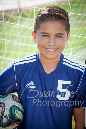 UMHS-13