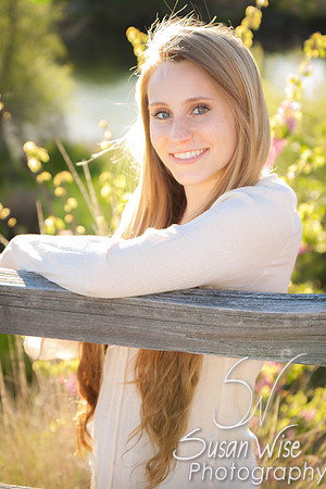 AM-29