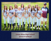 JV2018