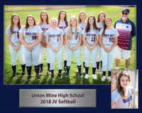 JV2018 w player